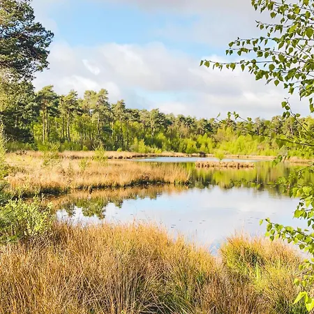Chalet Woudcottage Met Airco! *