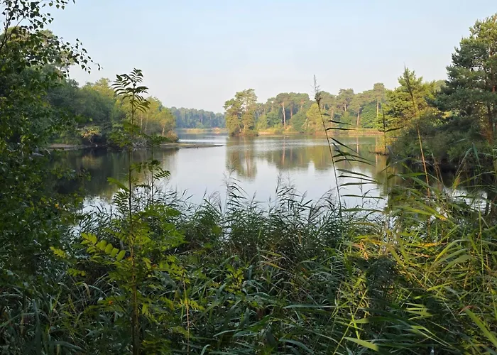 Woudcottage Met Airco!