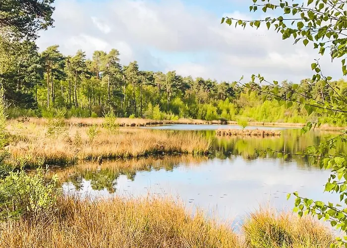 Chalet Woudcottage Met Airco! *